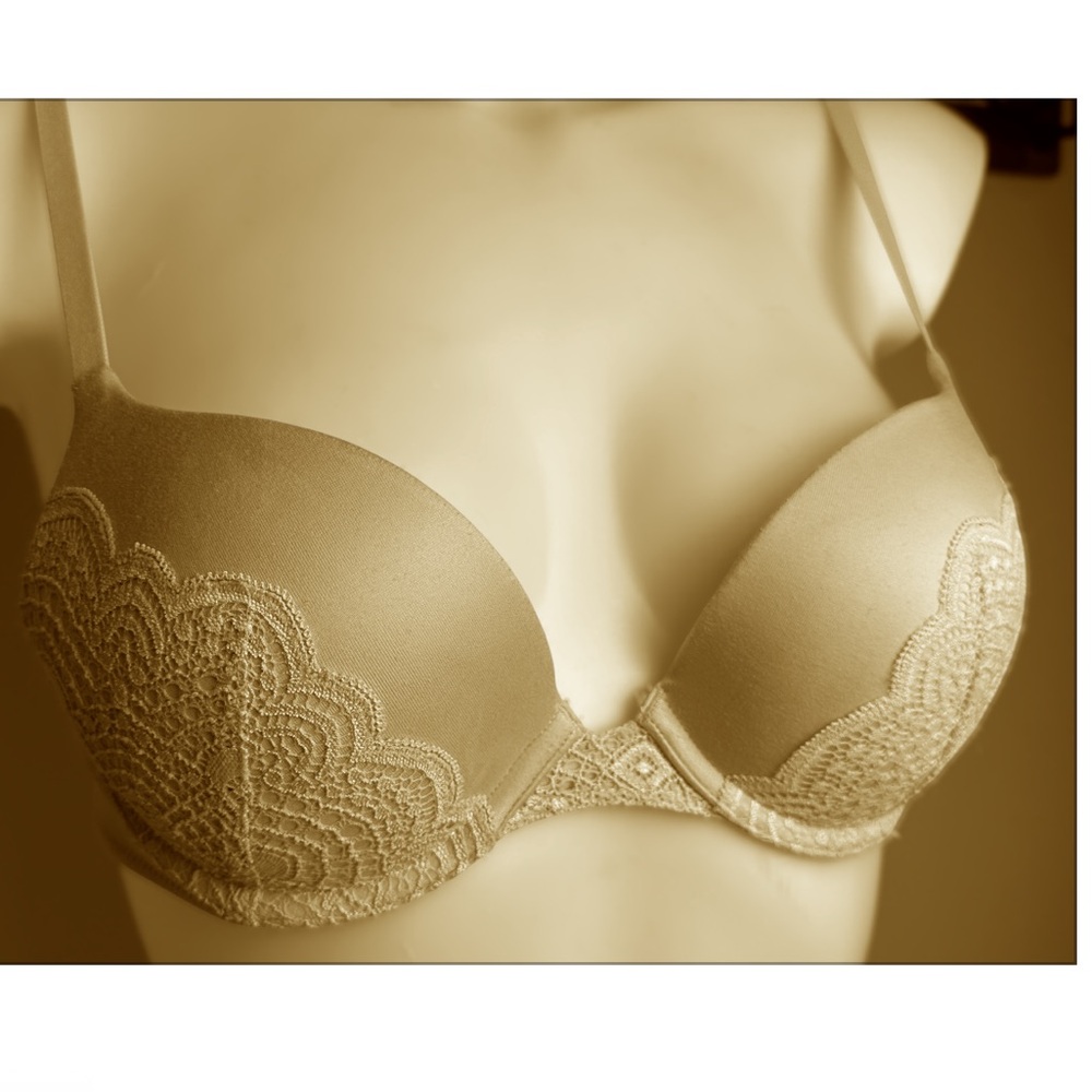 Elegant Lace Beige Bra